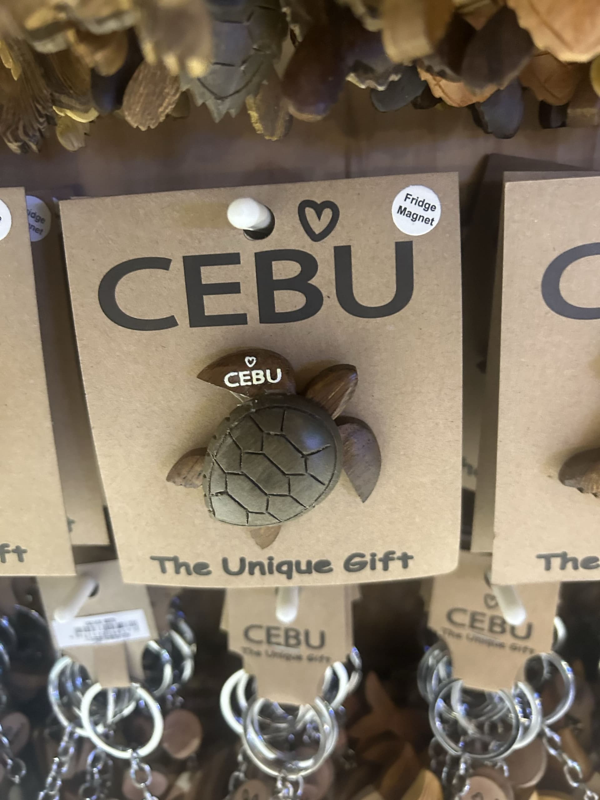 宿霧藍海學院 CBOA 語言學校 兩週心得