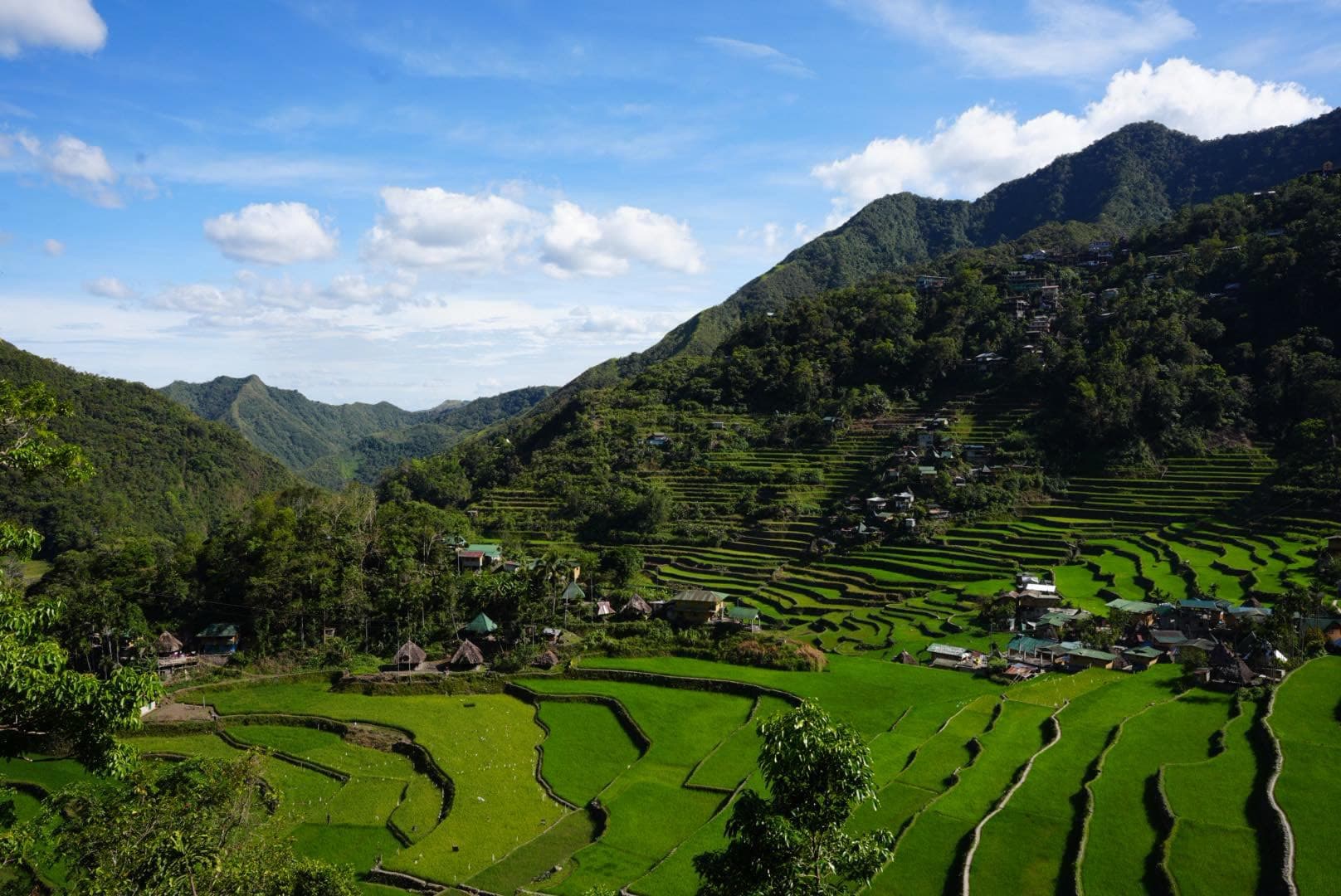 Our Banaue & Sagada Adventure 我們的巴拿威與薩加達之旅