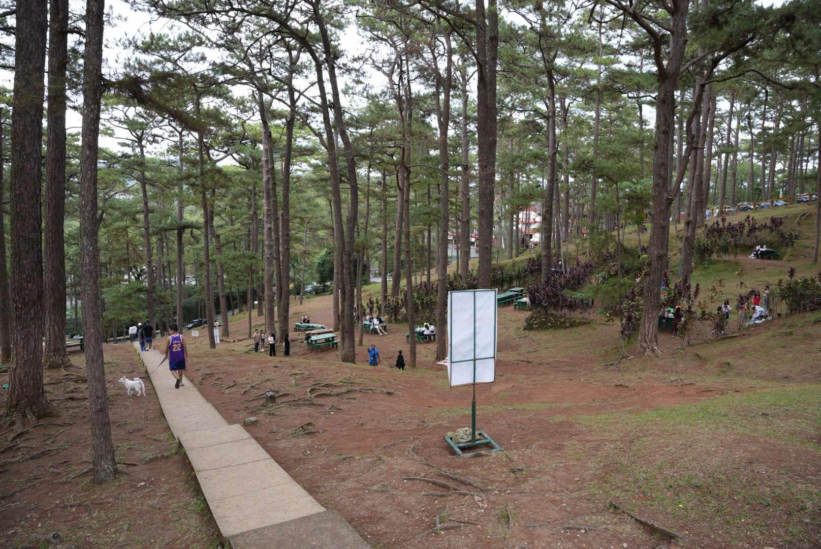 碧瑤約翰海營地的松樹林公園步道與人群