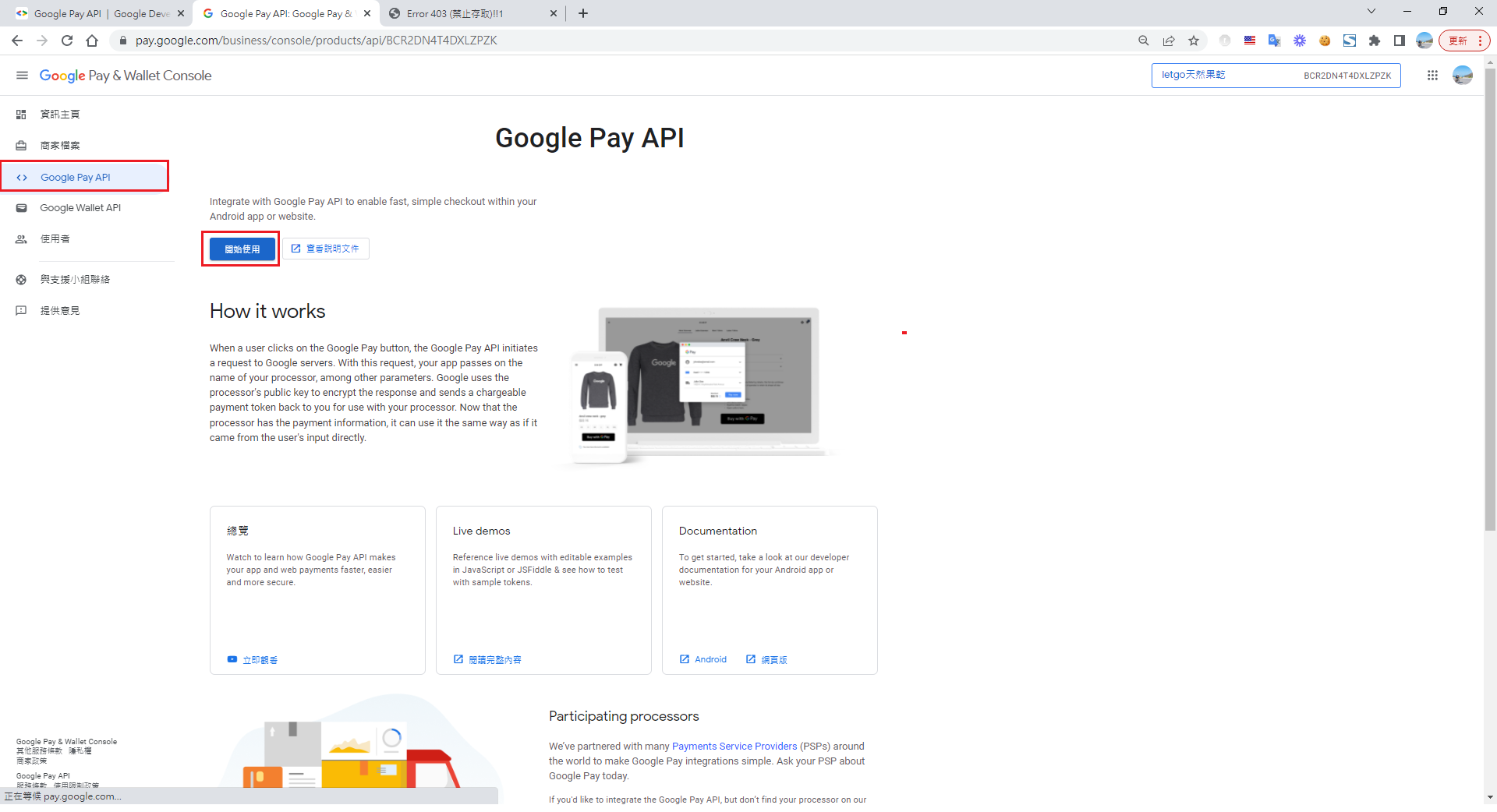 Google Pay API 開發者主控台介面，左側選單
