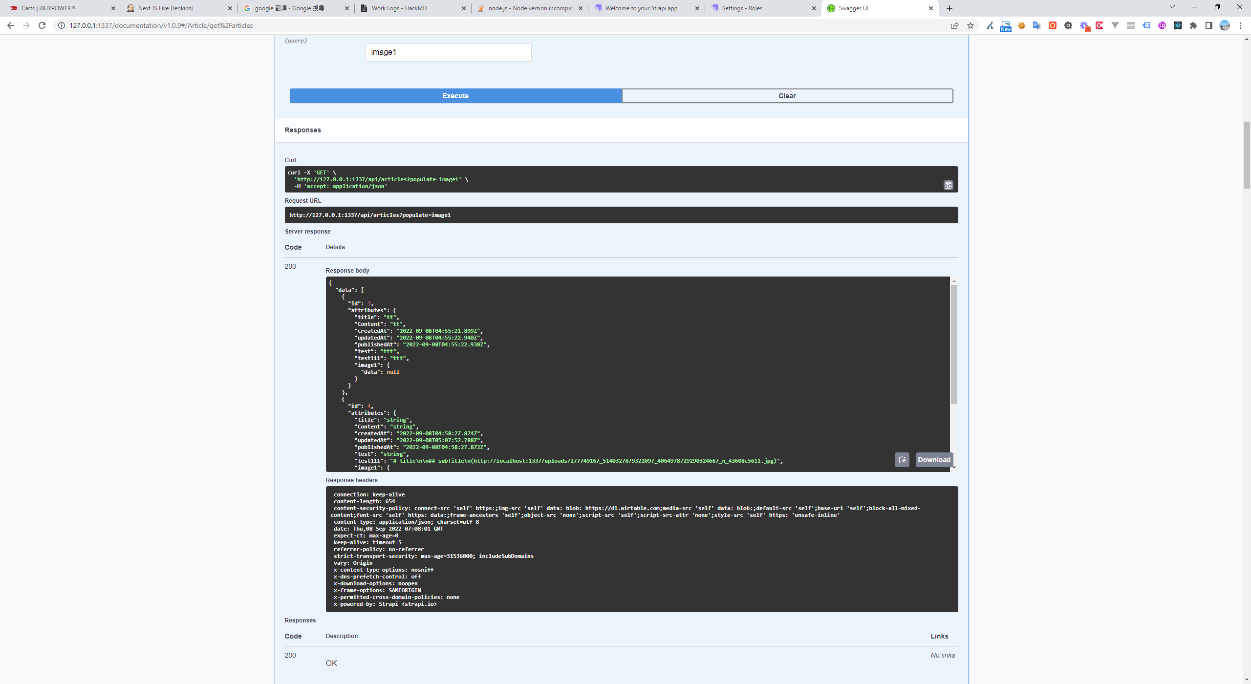 Strapi API 回傳圖片欄位 JSON 介面