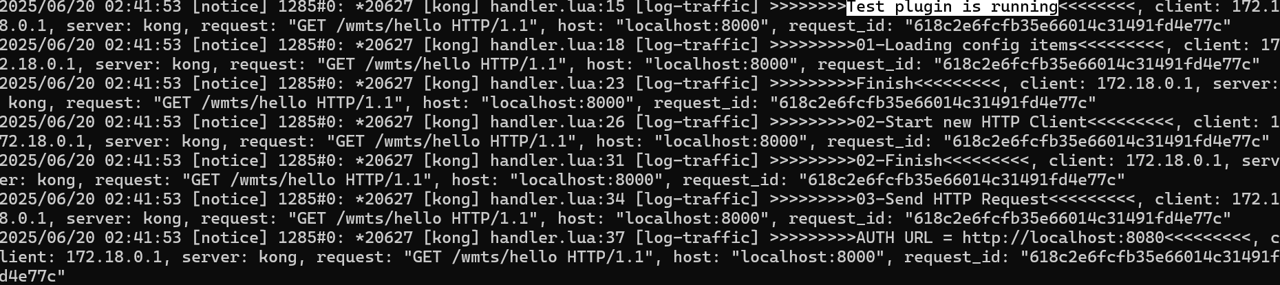 Docker log 輸出