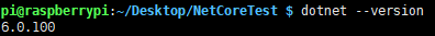 樹莓派終端機顯示dotnet 6.0.100版本