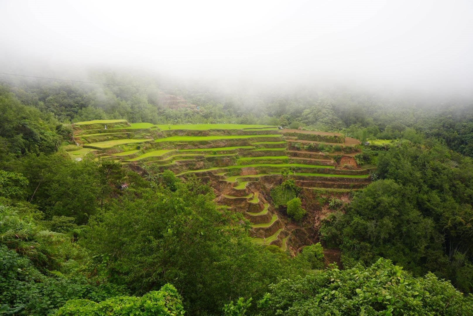 the weather in the morning