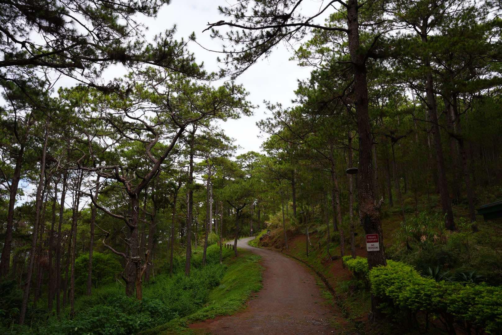 Camp john hay yellow trail