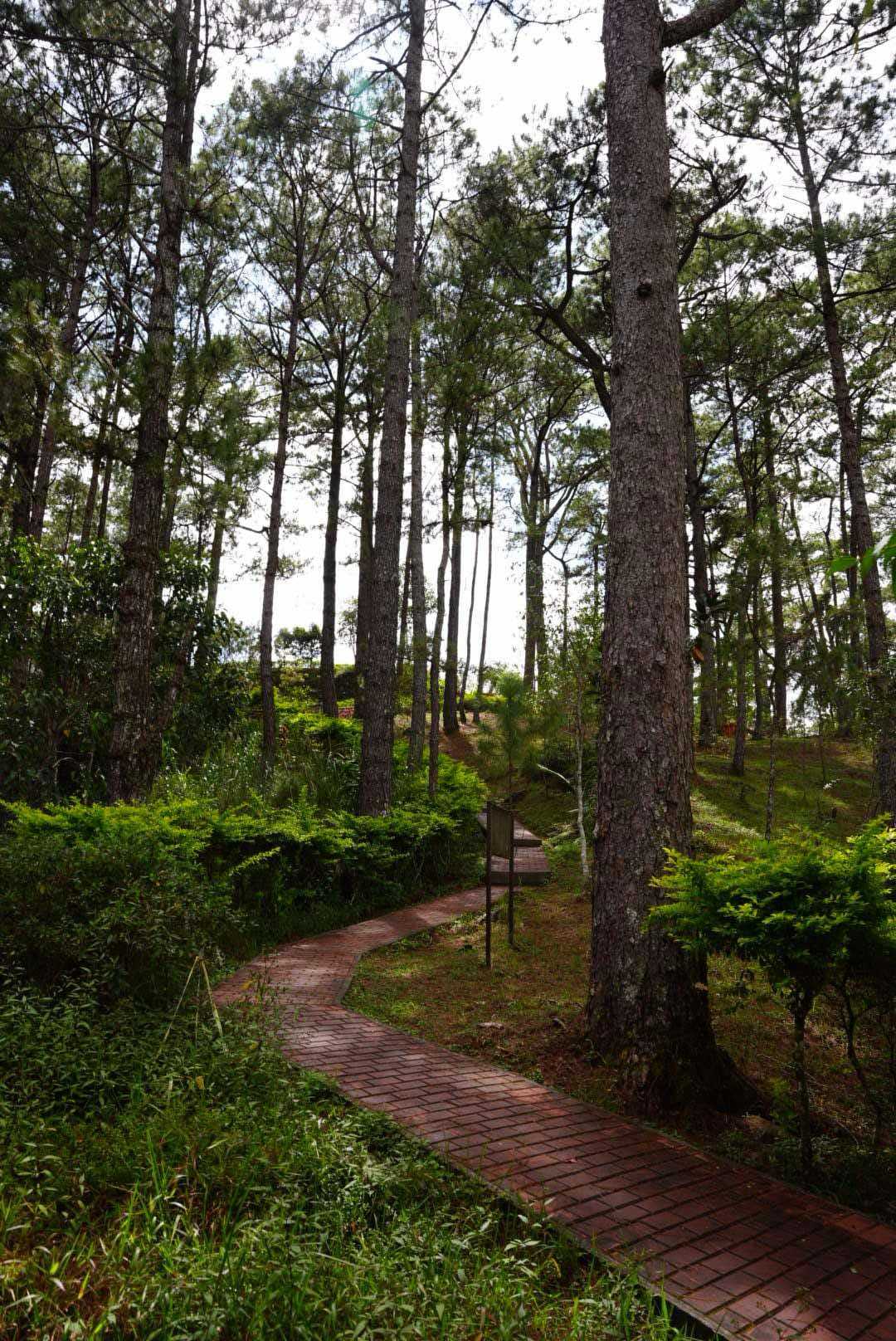 camp john hay cabin 4