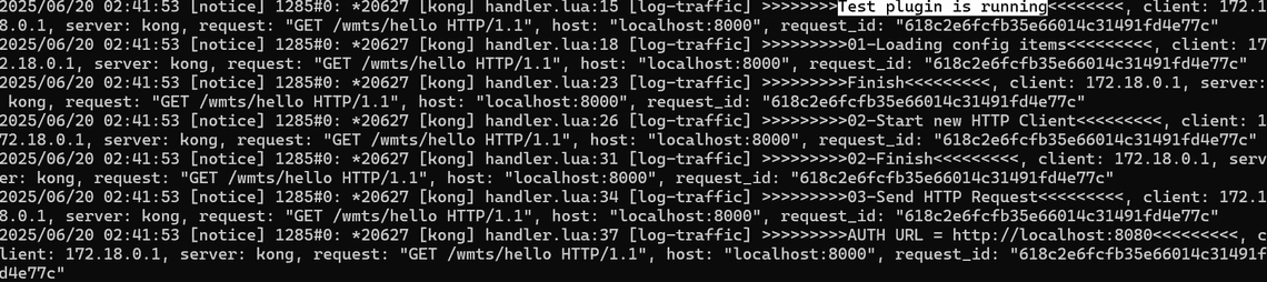 Docker log 輸出